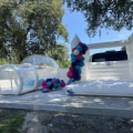 Fine Glassware and Bounce House Rentals: Blending Sophistication and Play
